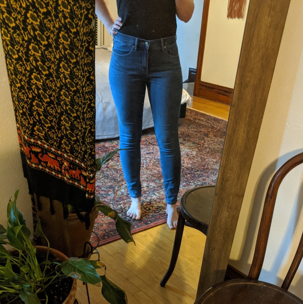 Everlane Authentic Stretch Mid-Rise Skinny Jeans